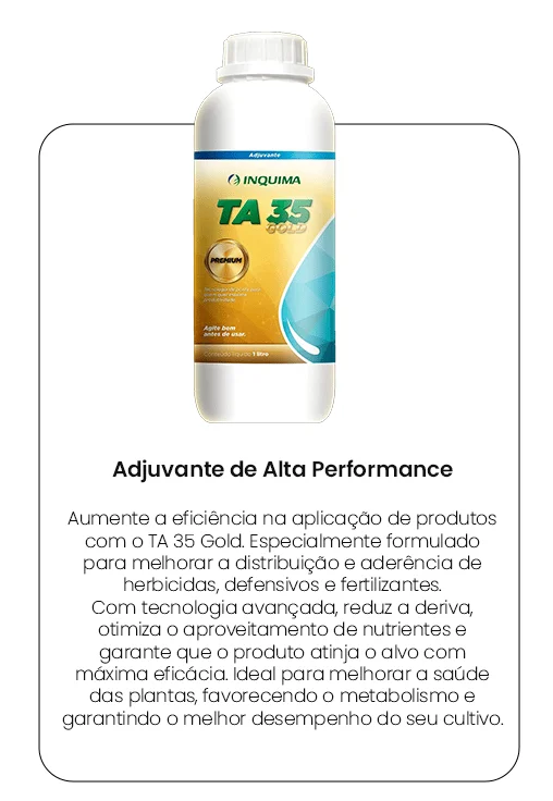 Produto 6